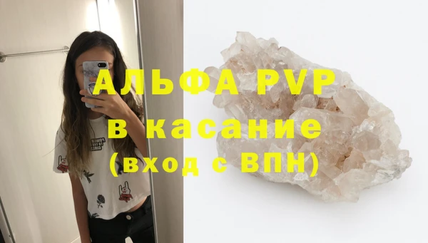 сатива Алзамай