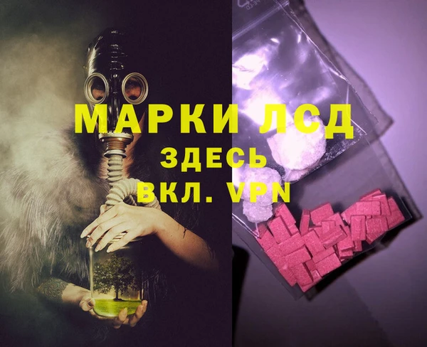 сатива Алзамай