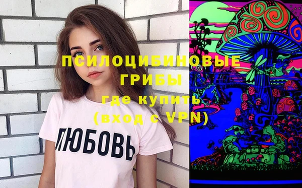 сатива Алзамай