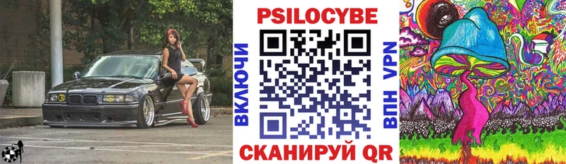 Псилоцибиновые грибы Psilocybine cubensis  Белорецк 