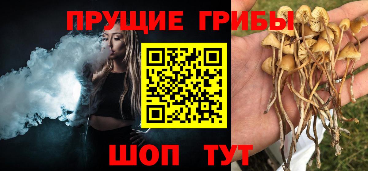 Галлюциногенные грибы мухоморы Белорецк