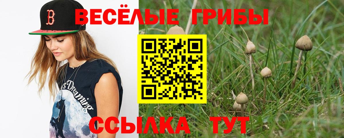 Псилоцибиновые грибы ЛСД  Вход с VPN  где купить наркоту  Белорецк  Псилоцибиновые грибы прущие грибы 